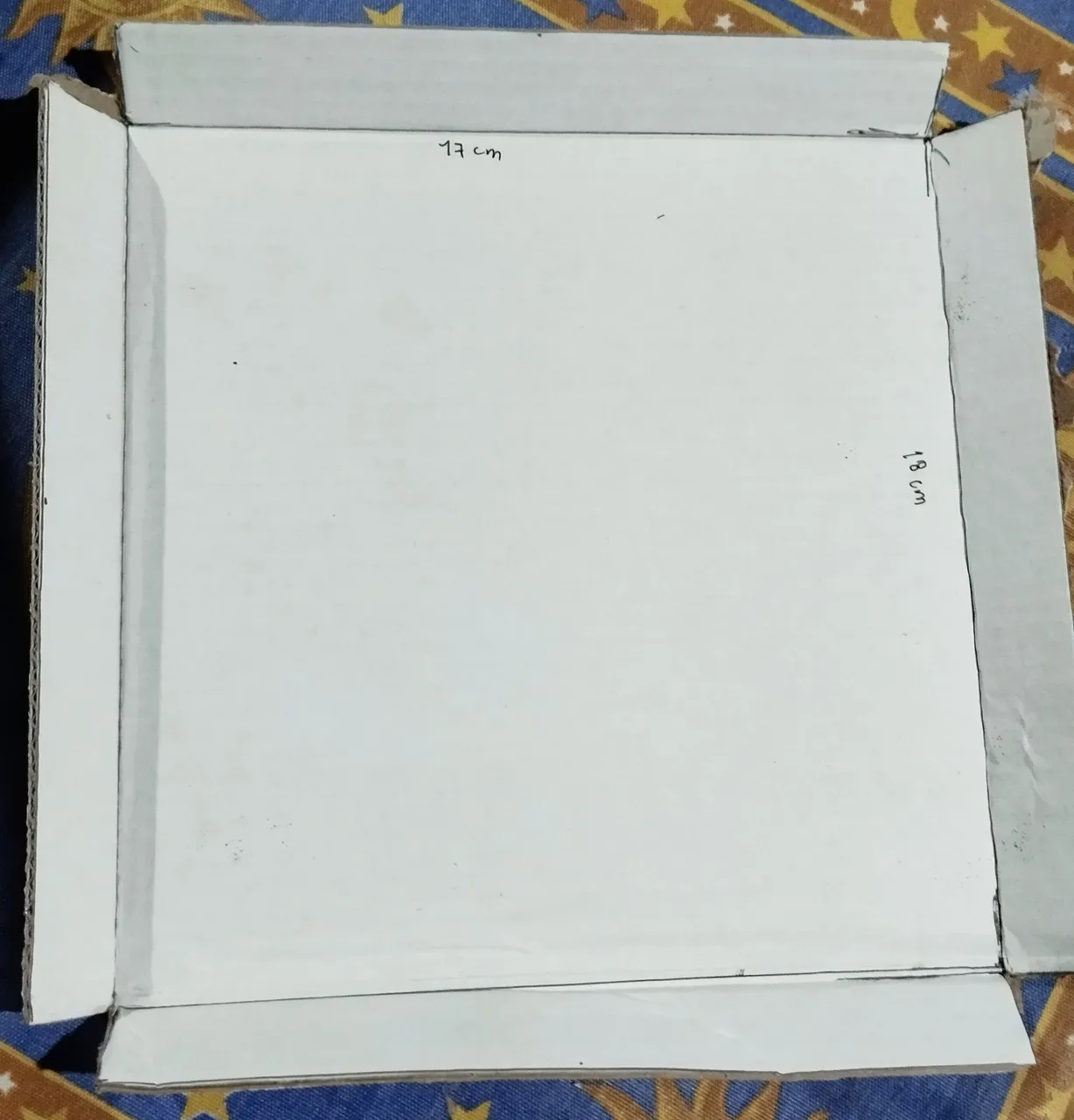 1000295028.jpg