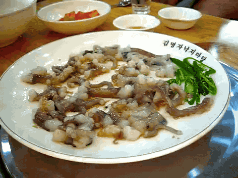 Octopus.gif