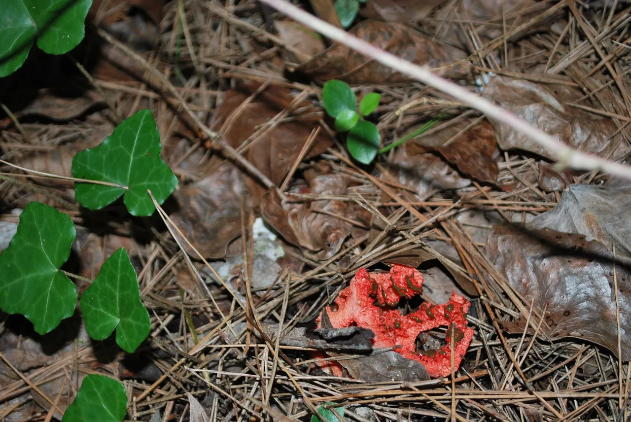 DSC_3652.JPG