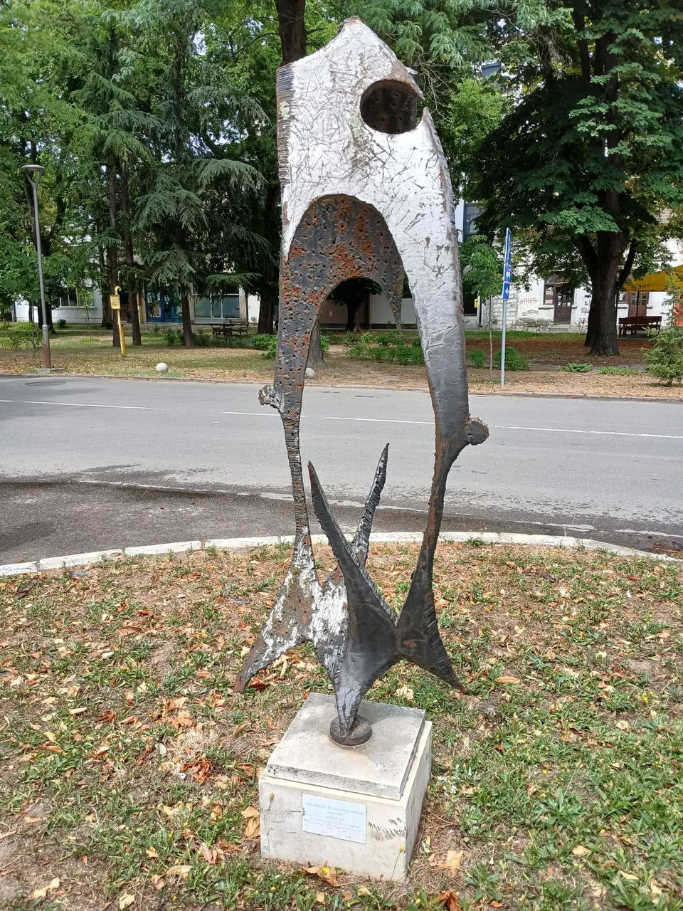 20250722_133646.jpg