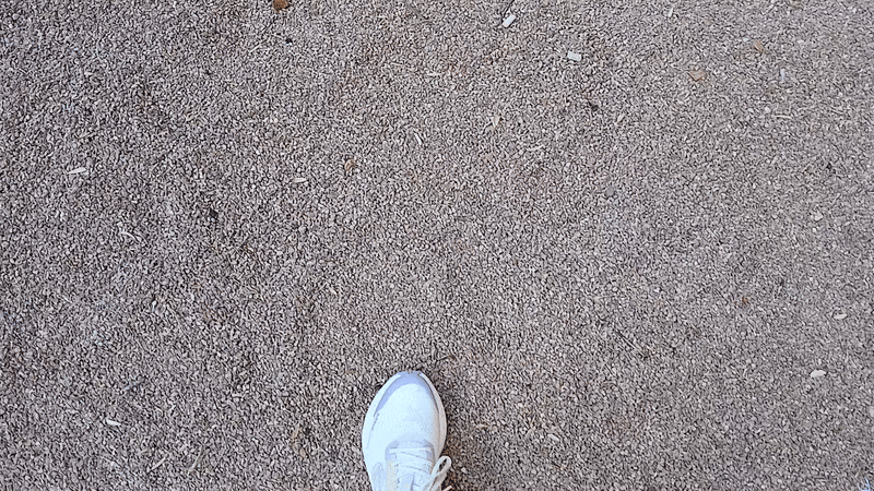20250813_101025-ezgif.com-optimize.gif