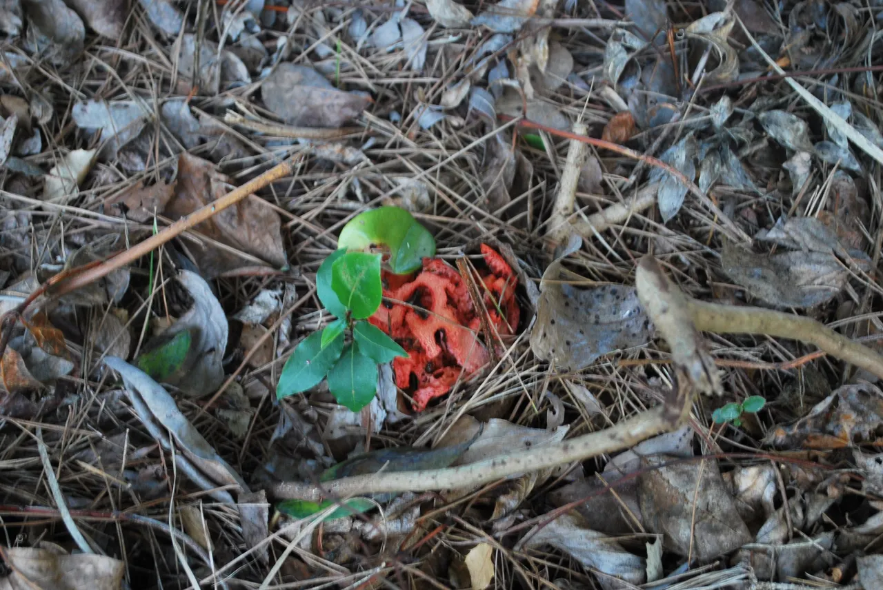 DSC_3658.JPG