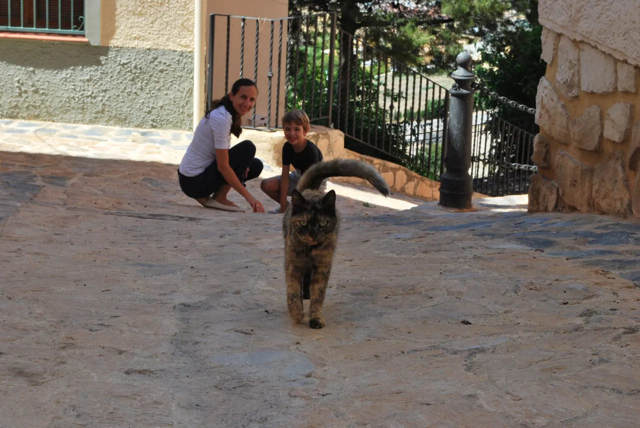 DSC_8719.JPG