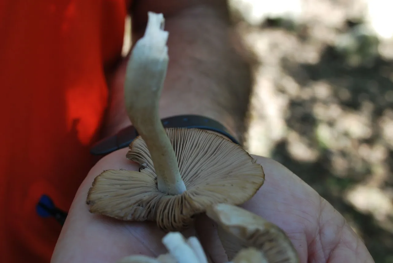 DSC_3622.JPG