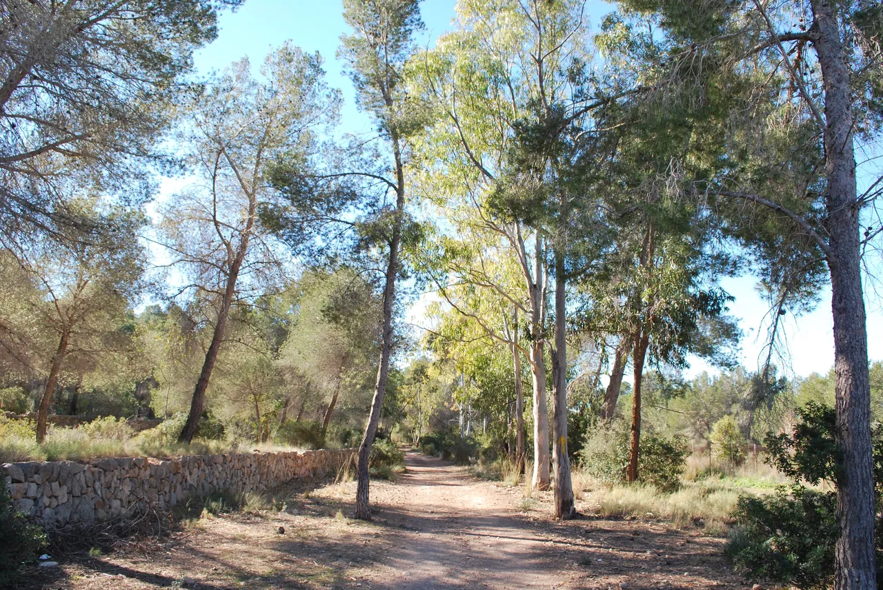 DSC_4122.JPG