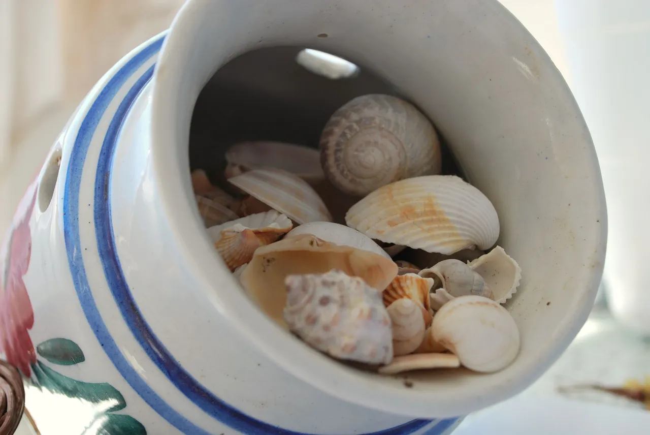 DSC_6852.JPG