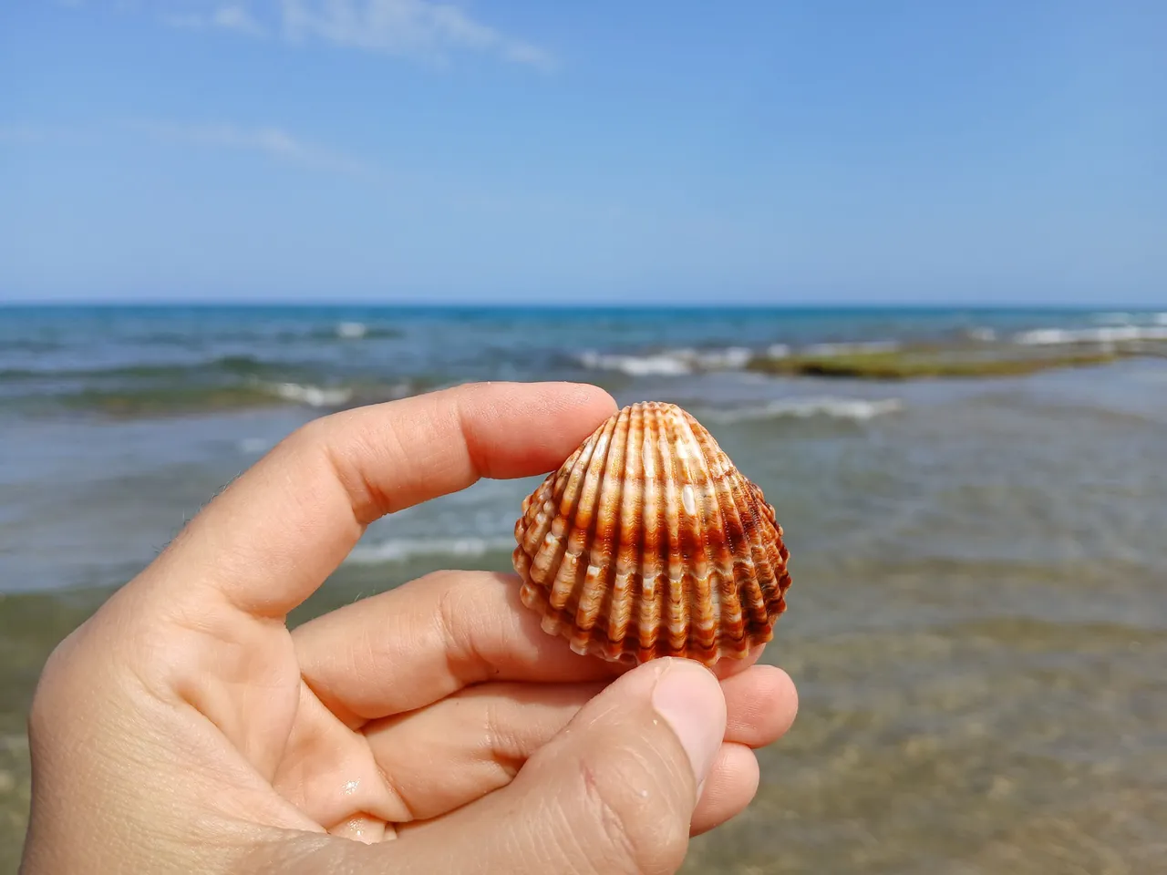 20250618_171536.jpg