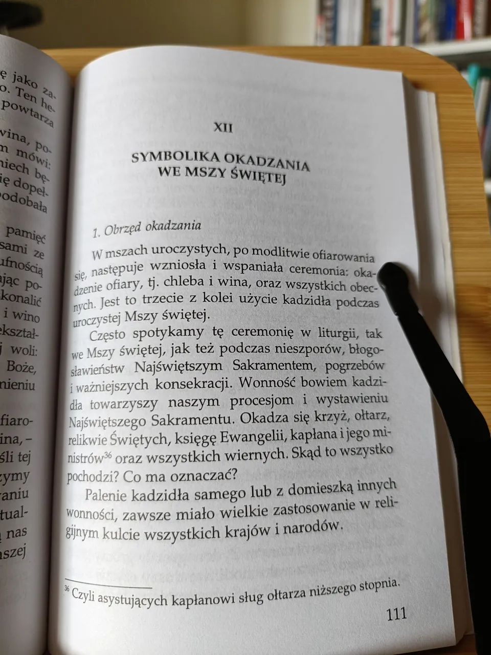 Opisywanie tego co widzimy, wypowiadanie się w pierwszej osobie liczby mnogiej, jak i pytania pozwalają odczuć że my także jesteśmy podmiotem rozważań, i że sami, choć wspólnie z autorem, dochodzimy do pewnych wniosków