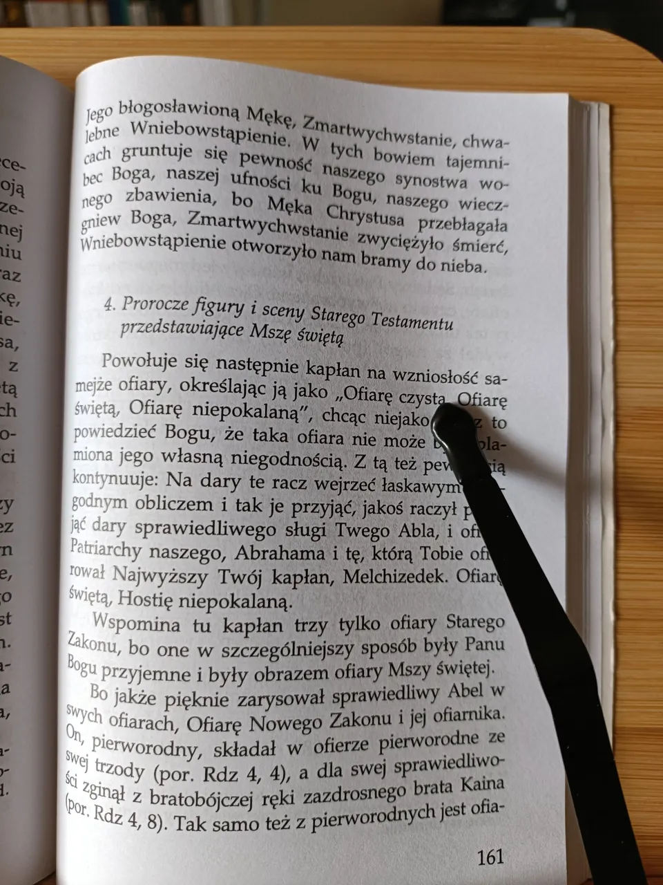 Autor wykazuje sie znaczną wiedzą na temat poszczególnych elementów Mszy, w tym zrozumienia ich kulturowego i historycznego znaczenia i procesu włączania ich do liturgii chrześcijańskiej