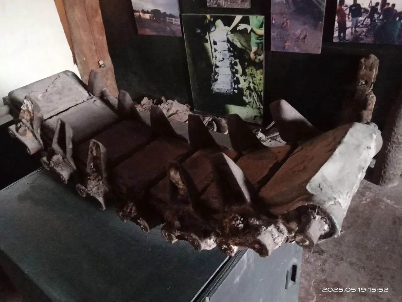 IMG_20250519_155303(1).jpg