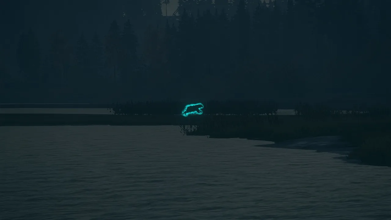 oso1.jpg