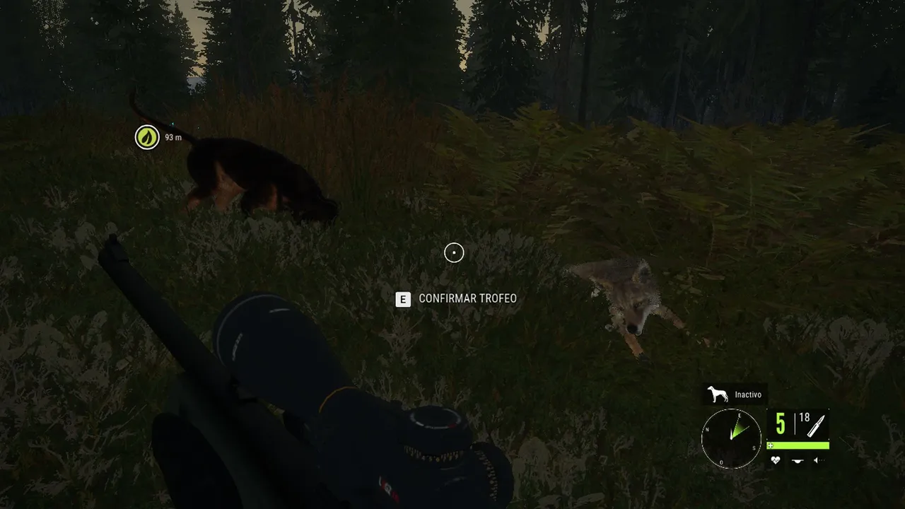 coyote2.jpg