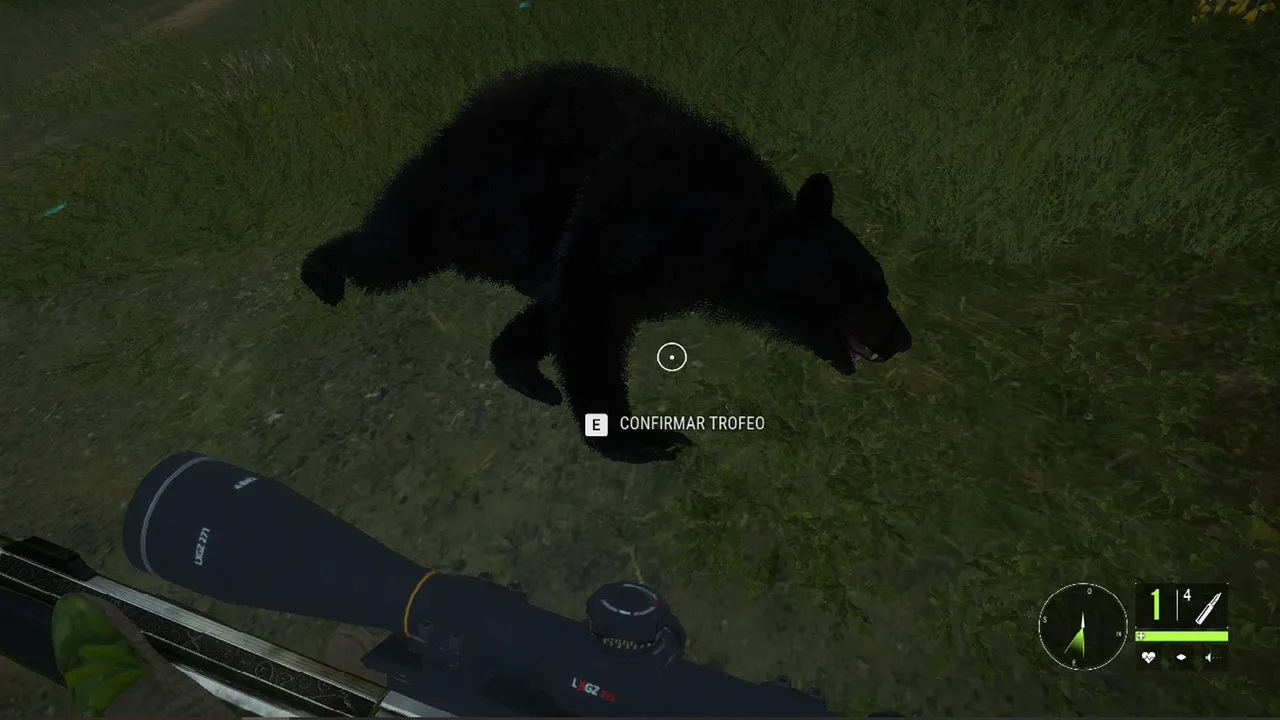 oso5.jpg