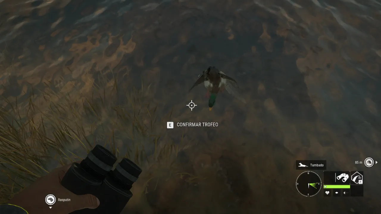 Screenshot 2023-11-27 23-22-58.png