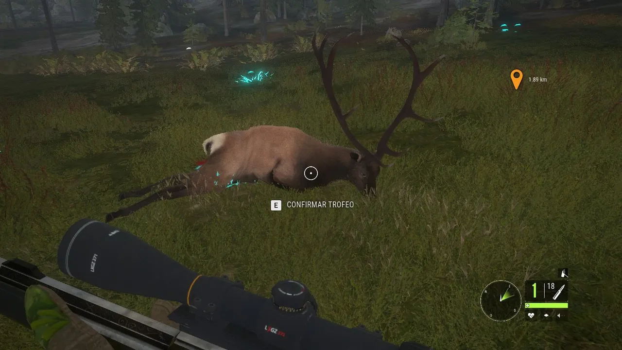 wapiti1.jpg