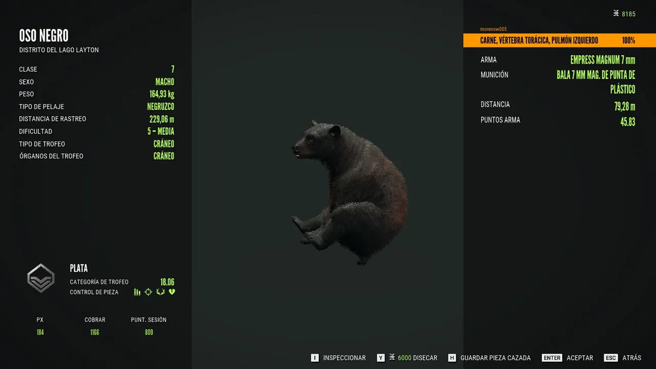 oso6.jpg