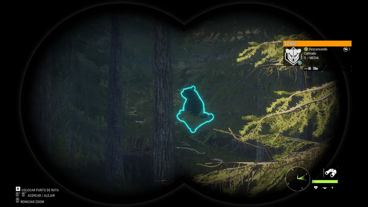 oso1.jpg