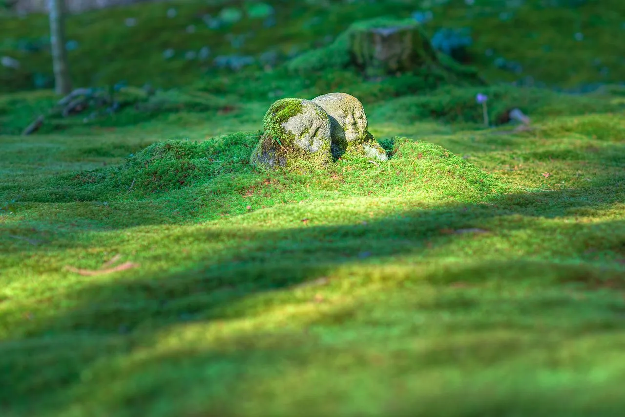 jizo-1976581_1280.jpg
