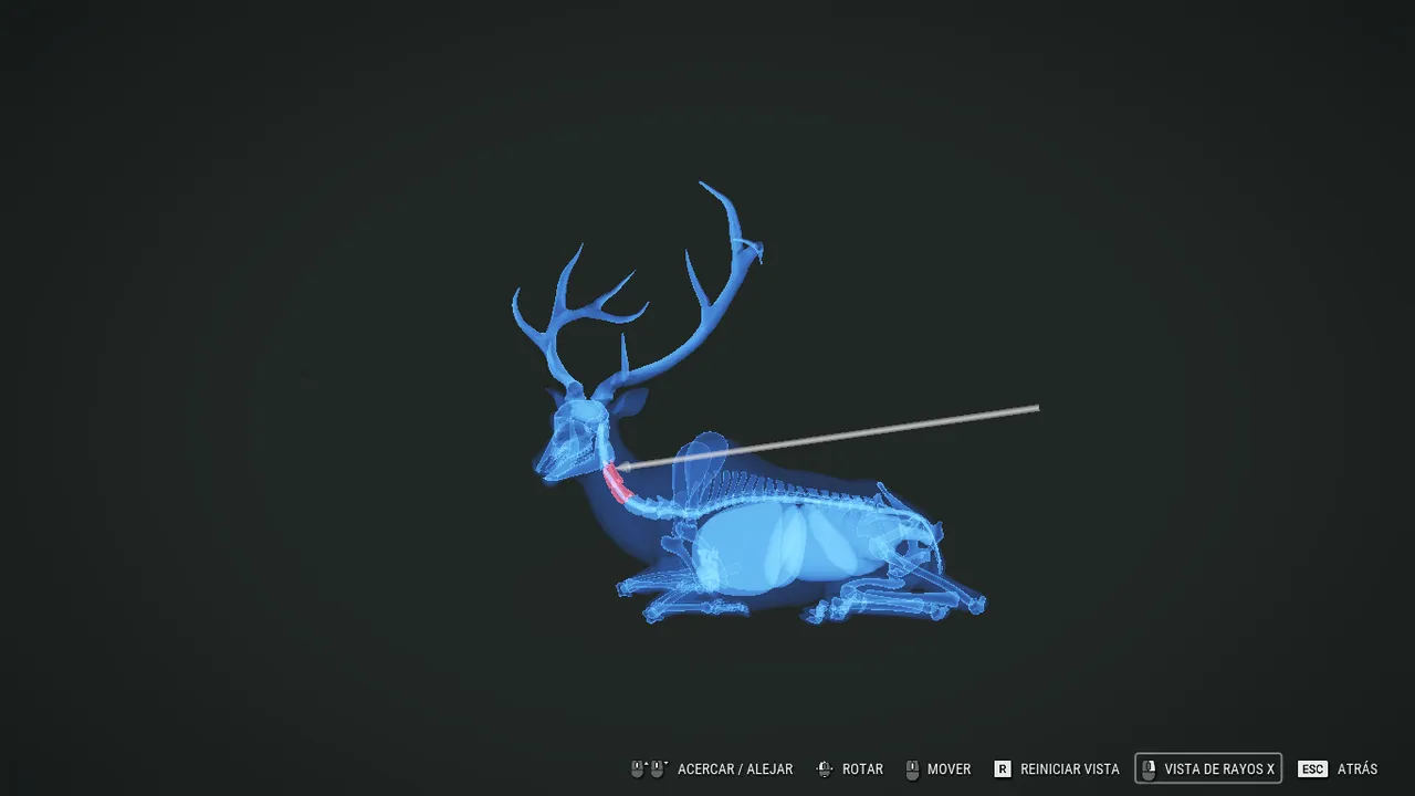 wapiti1cuello.jpg