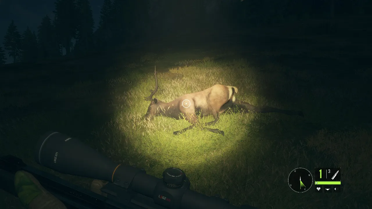wapiti2.jpg