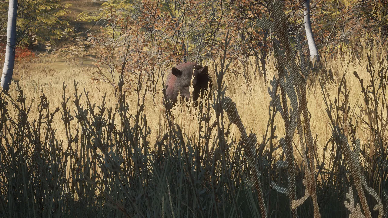 theHunter_Screenshot_2023-07-17_20_27_52 copia.jpg