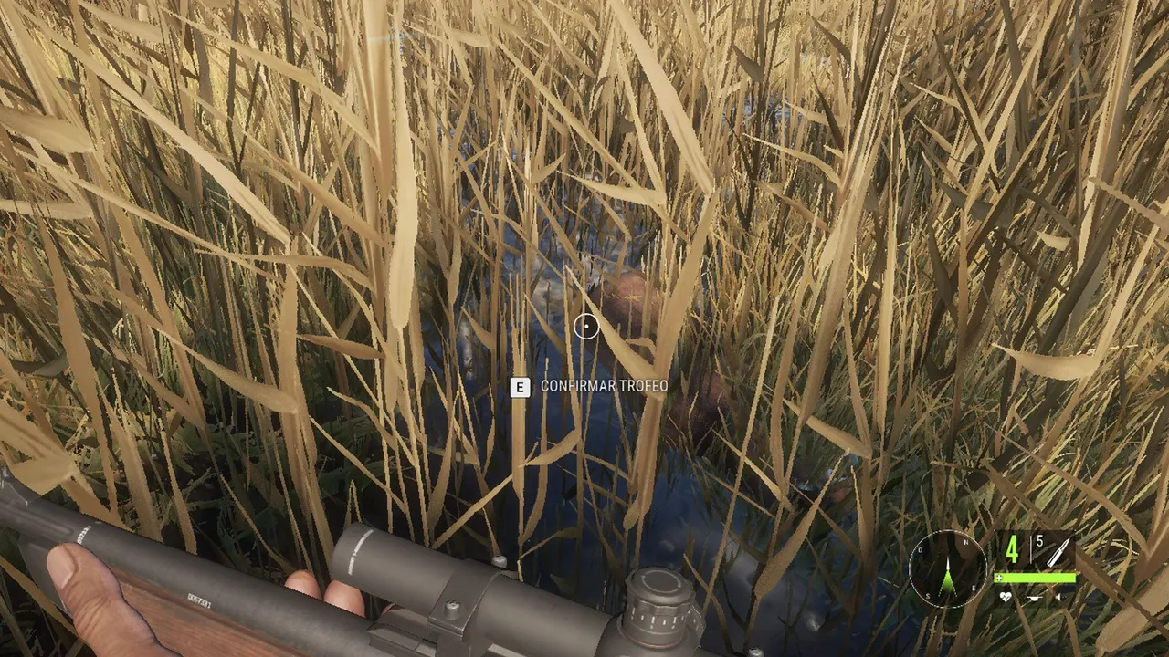 hunter4.jpg