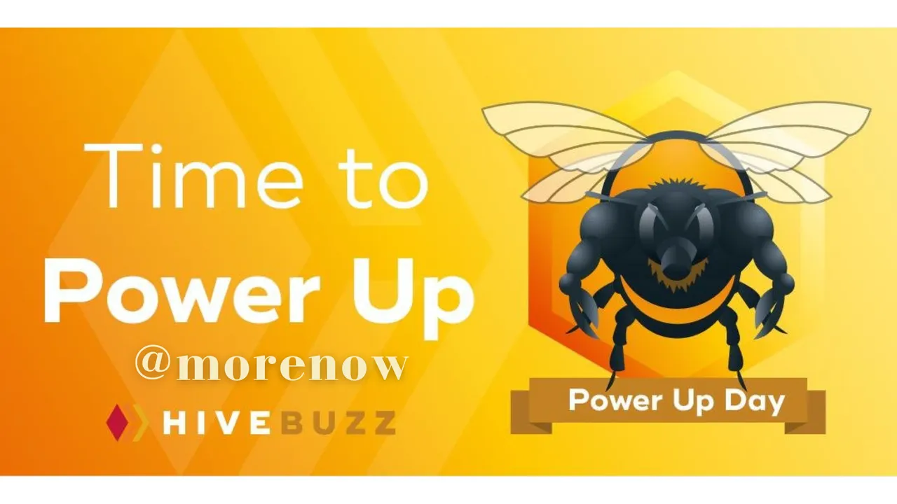 @morenow.png
