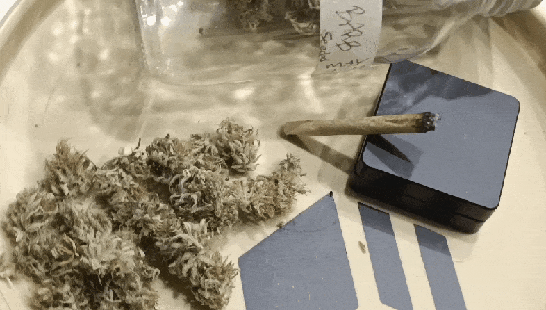 Media_230502_231257.gif