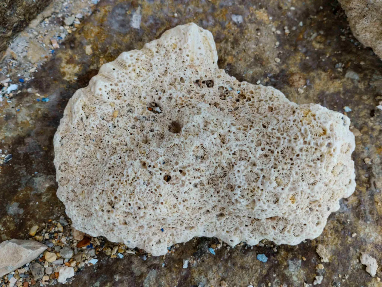 $1