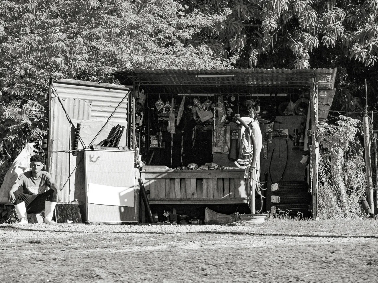 _1350122.JPG
