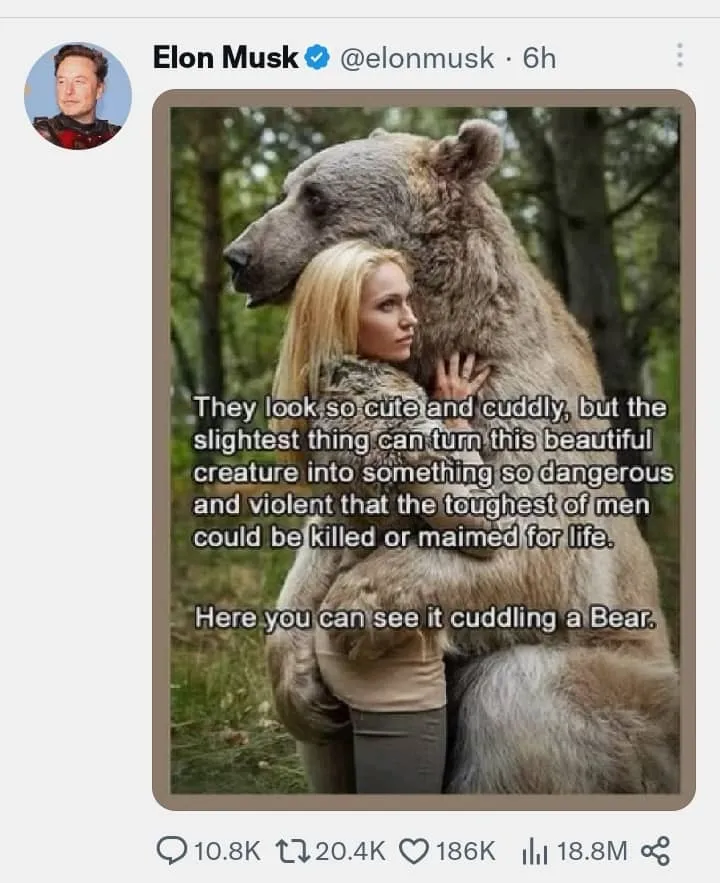 musk.jpg