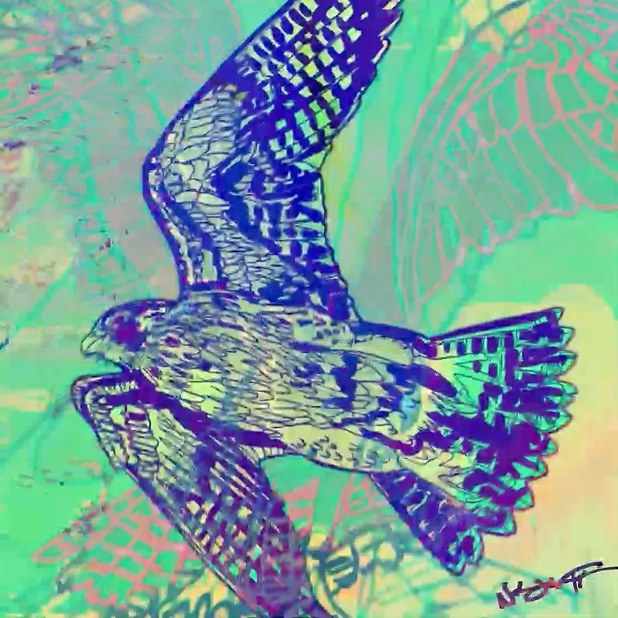 Birds Of Prey 2022-11-21 at 12.53.00 AM.jpg
