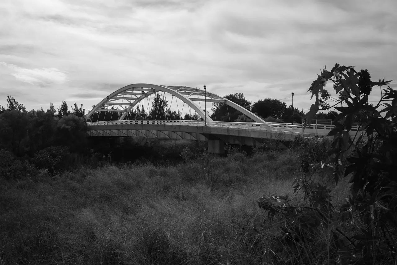 R0005952.jpg