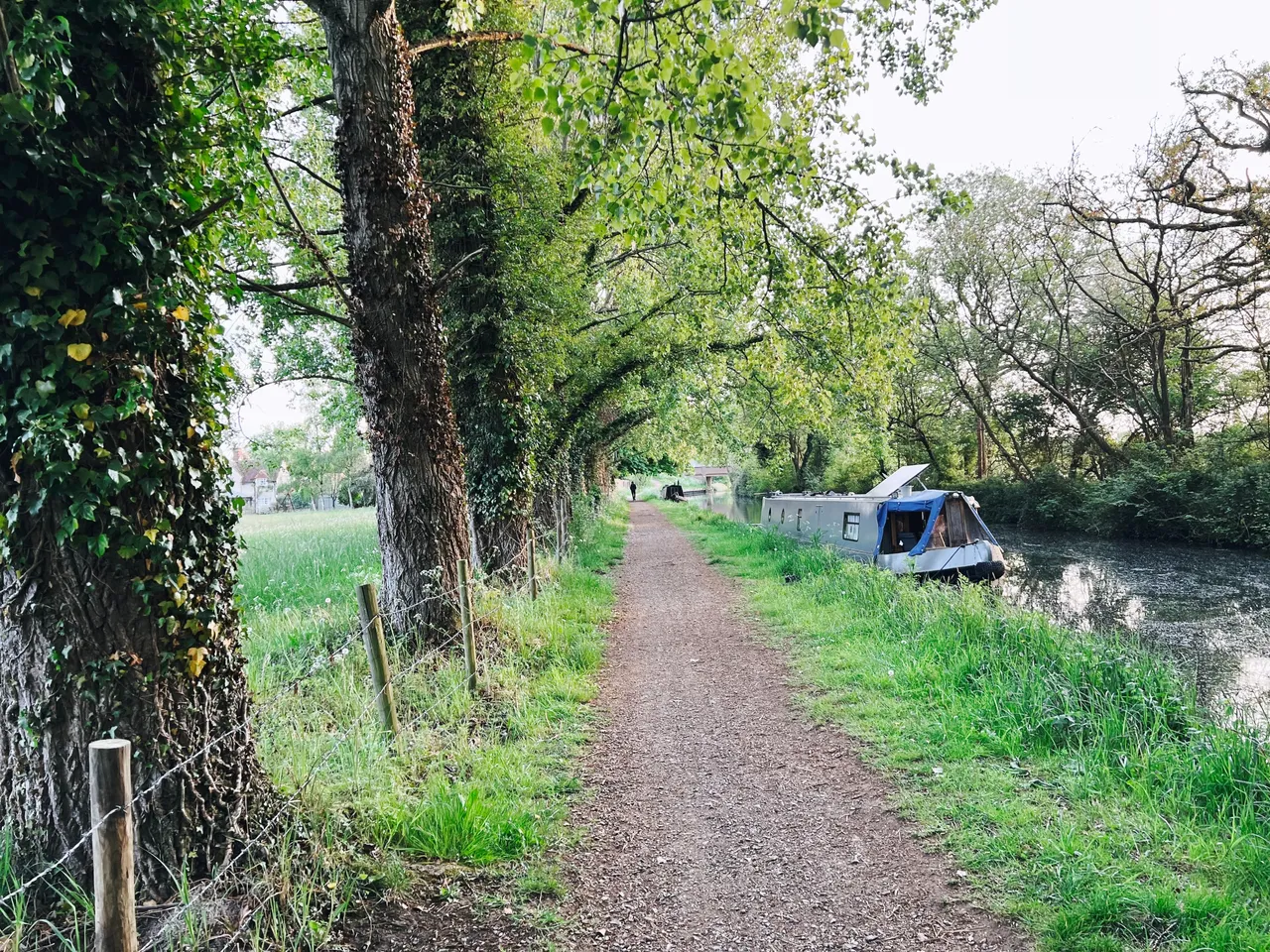 Tree lined towpath