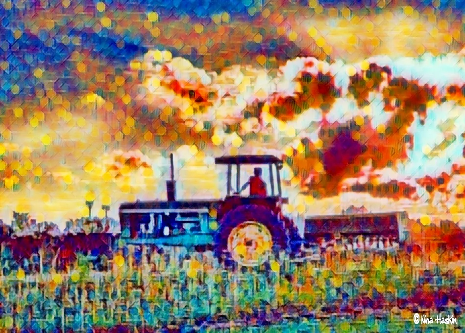 20180623_193803_1529989434851_1587938848418_1587941361597.jpg