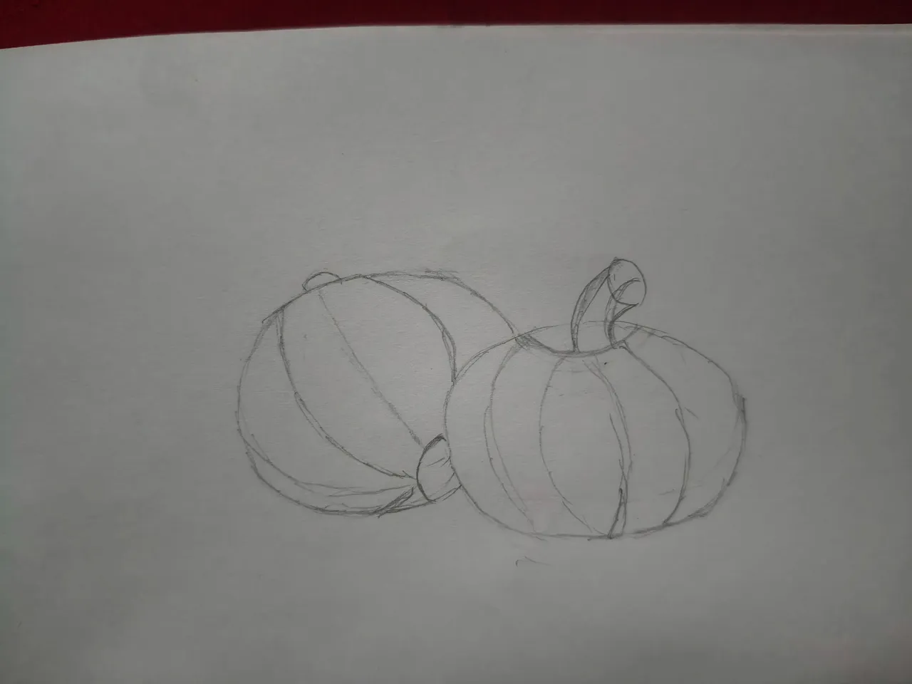 1000249752.jpg