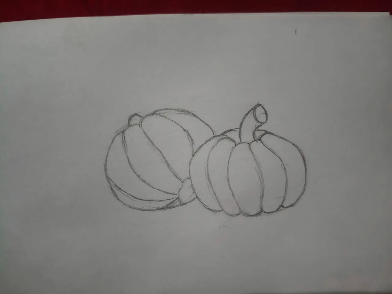 1000249762.jpg