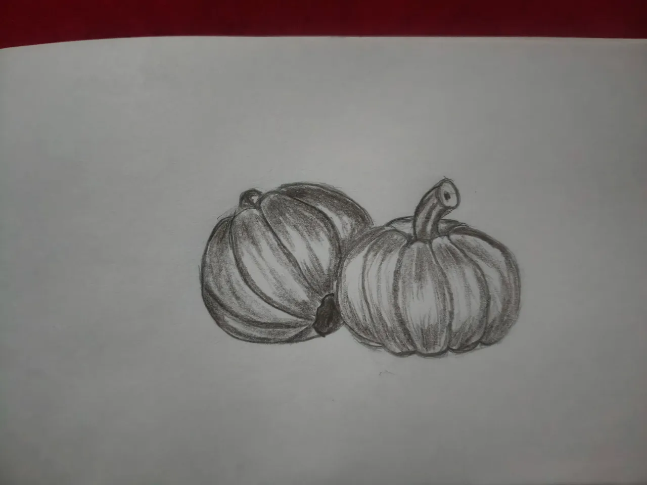 1000249765.jpg