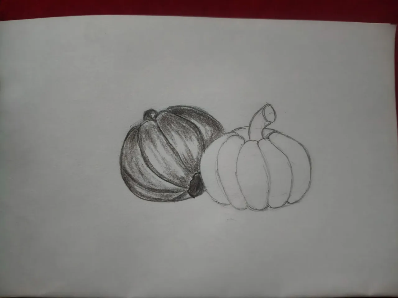 1000249764.jpg