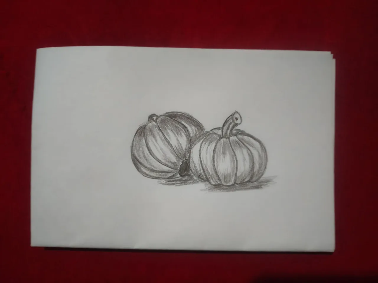 1000249766.jpg