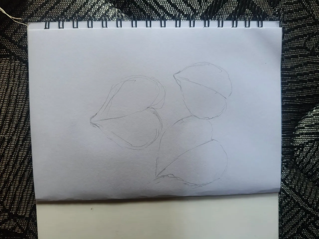 1000262417.jpg