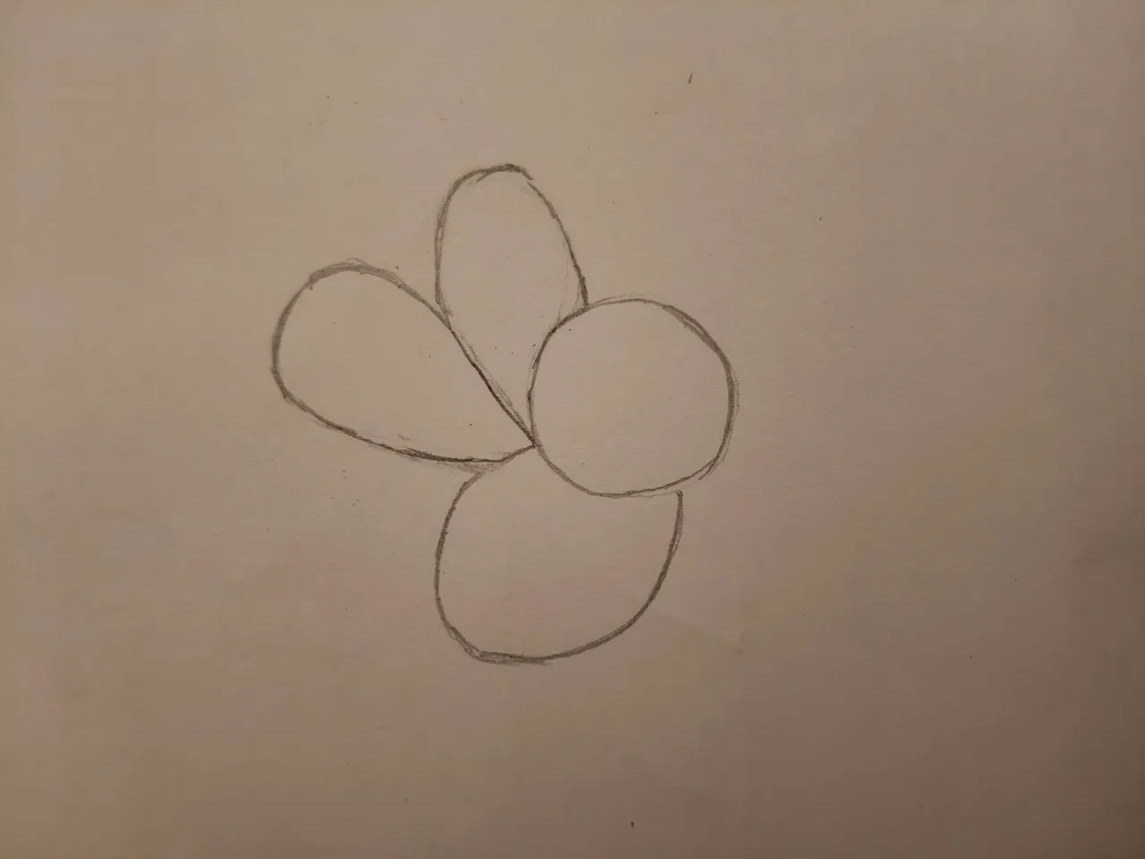 1000137602.jpg
