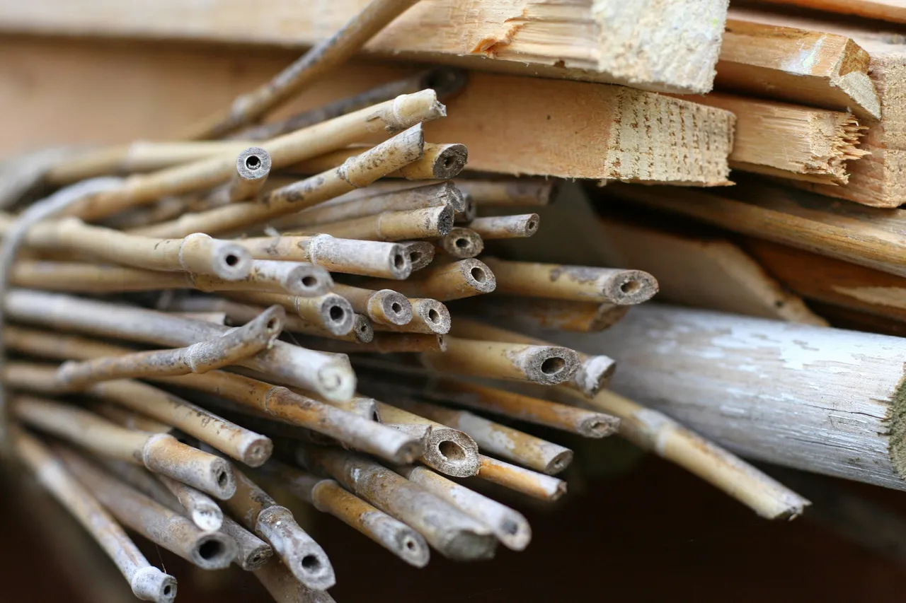 Stacks of spare wood and bamboo