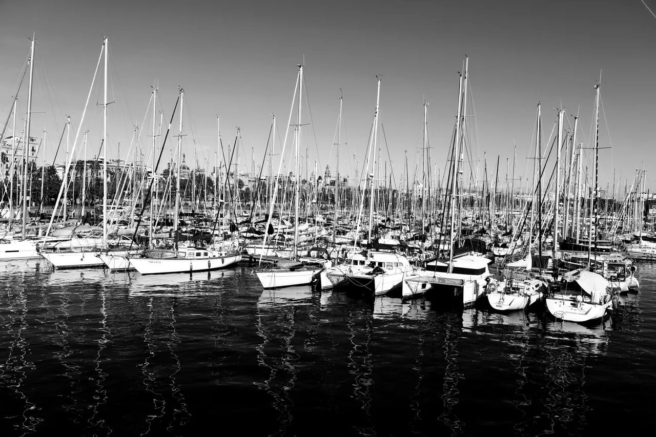 barcos.jpg