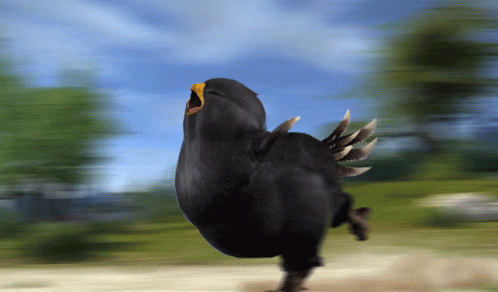 run-run-chocobo[1].gif