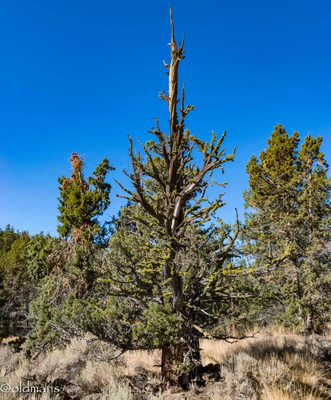 rnp-19.jpg