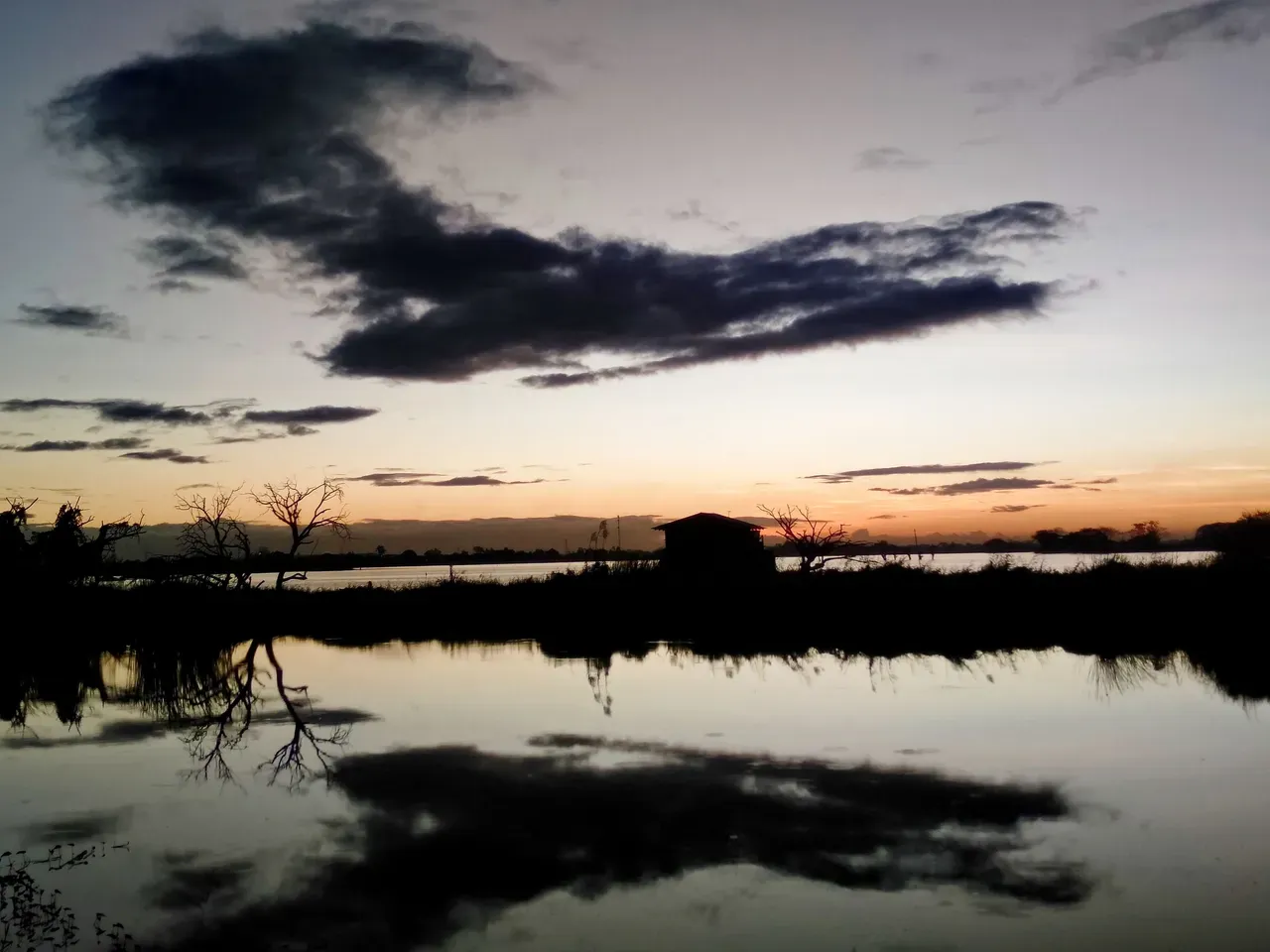 usagigallardo015.webp