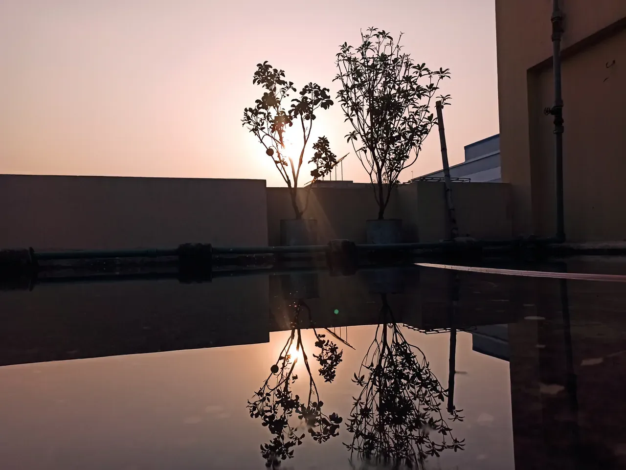 ahmed-utchass.webp