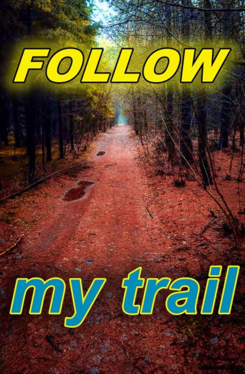 follow_mytrail.jpg