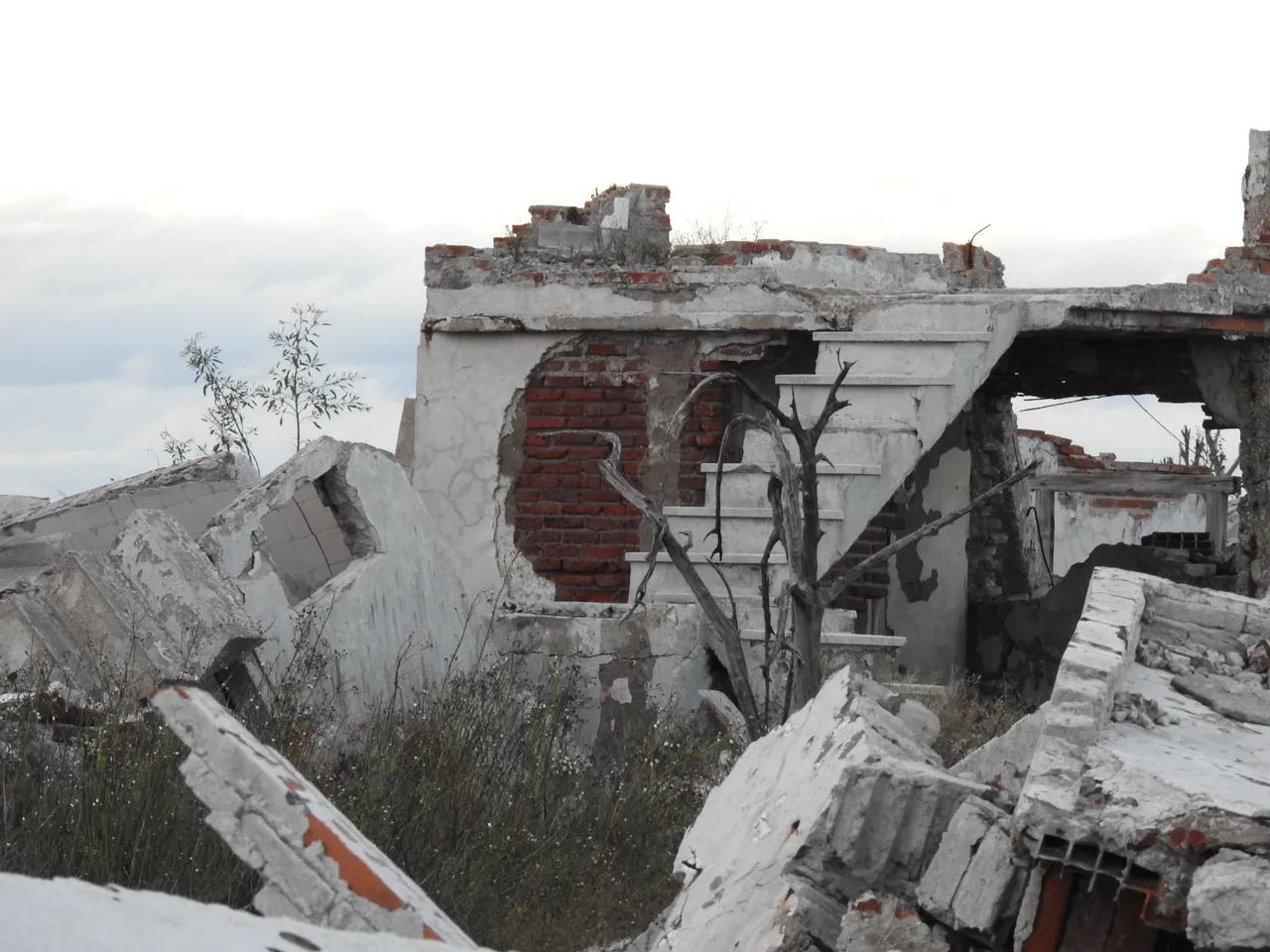 DSCN5358.JPG